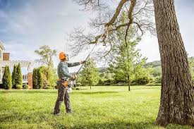 Professional Tree Services in Goliad, TX