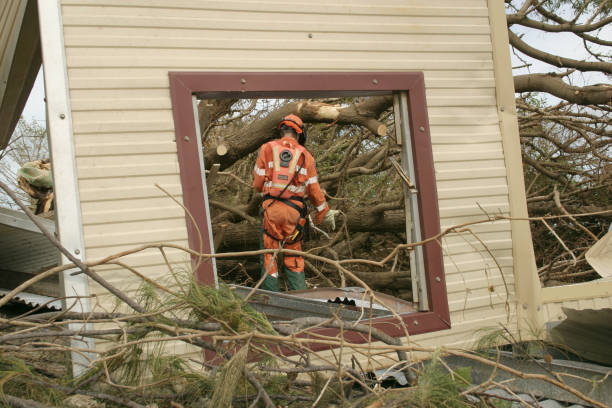 How Our Tree Care Process Works  in  Goliad, TX